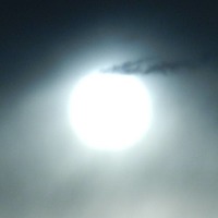 And its true by WÜST