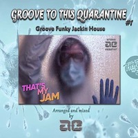 GROOVE To This QUARANTINE #1  (Groove) by Anass Ezzaher