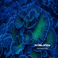 DJ Oblongui Profundo Vol 06 (WhoMadeWho, Eli &amp; Fur, Nick Curly, Steve Bug, Moonwalk...) by Guilherme Oblongui