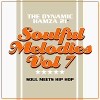 Soulful Melodies Volume 7 by Hamza 21
