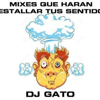 DJ GATO...  THE MASTER EDITION ----- San Felix. Bolivar State. Guayana City. Venezuela. Phone: 584121034786 - Mail: djgatoscratch@gmail.com       NOTHING IS IMPOSSIBLE. JUST TRY IT.