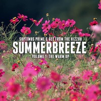 SummerBreeze Vol. I (2018) by Soptimus Prime