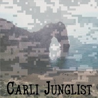 We Just Came To Dance mix by Carli Junglist