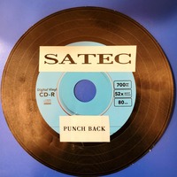 Punch Back by Satec