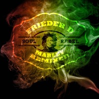 Soul Rebel | Bob Marley Remixed by Frieder D