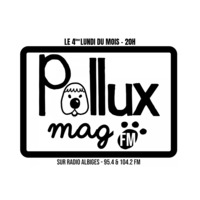 Pollux Mag FM #1 - L'instant Baloche, le Skate Club d'Albi &amp; l'association Debout les yeux by Radio Albigés