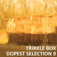 Trikkle Box - Dopest Selection 9 by Trikkle Box (DJ-Sets)