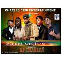 Street On Fire Mixed By Dj Charles vol. 11 by Charles Paul