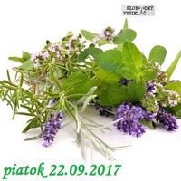 Riešenia a alternatívy 38 - 2017-09-22 Zber a pestovanie liečivých rastlín by Slobodný Vysielač