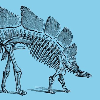 Budosaurus