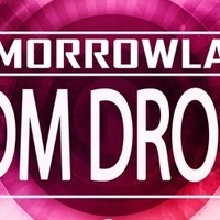 Tomorrowland EDM Drops