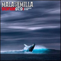 Mala Semilla Nº 209 - 09 -11-2020 by Mala Semilla - FM Sonar 97.9