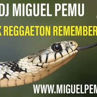 DJ MIGUEL PEMU -- MIX REGGAETON REMEMBER -- Old School Reggaeton by Dj Miquel Pemu - Dj Miguel Pemu