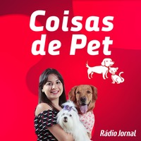 Os cuidados com os pets na praia by Rádio Jornal