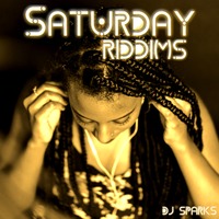 Saturday Riddims  (DJ SPARKS) by Bass Flow Radio