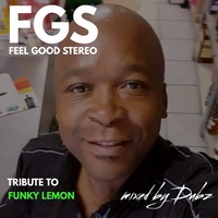 Feel Good Stereo (Tribute to Dj Funky Lemon) by Dubz