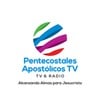 Pentecostales Apostolicos TV