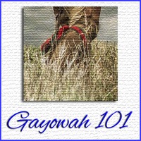 Gayowah 101 - Show #03 by Ohwęjagehká: Haˀdegaenáge: