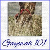 Gayowah 101 - Show #05 (All Iroquois Social Dance) by Ohwęjagehká: Haˀdegaenáge: