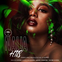Niger final hitlist vol 1 Dj Nitrix by Dj Nitrix