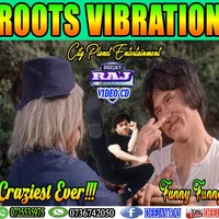 Dj Raj Roots Vibration by Deejay Raj