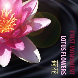 Listen to World music and sounds