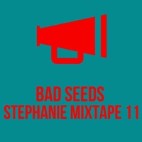 Les petits mix de bad seeds # stéphanie by Bad Seeds