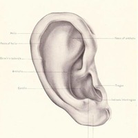 An Earful of Wax - February 5, 2021 by SHAWN MULLIN