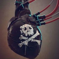  Distorsion P 7 by Rec