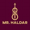 Mr Haldar