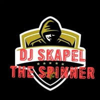 Dj Skapel presents reggae riddims mixtape by Dj Skapel ke