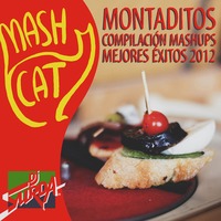 Montaditos &amp; Paellas 2013-2016 (Continuous Mix) Best of Mashup from Spain